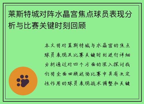 莱斯特城对阵水晶宫焦点球员表现分析与比赛关键时刻回顾