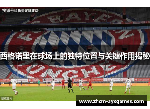 西格诺里在球场上的独特位置与关键作用揭秘